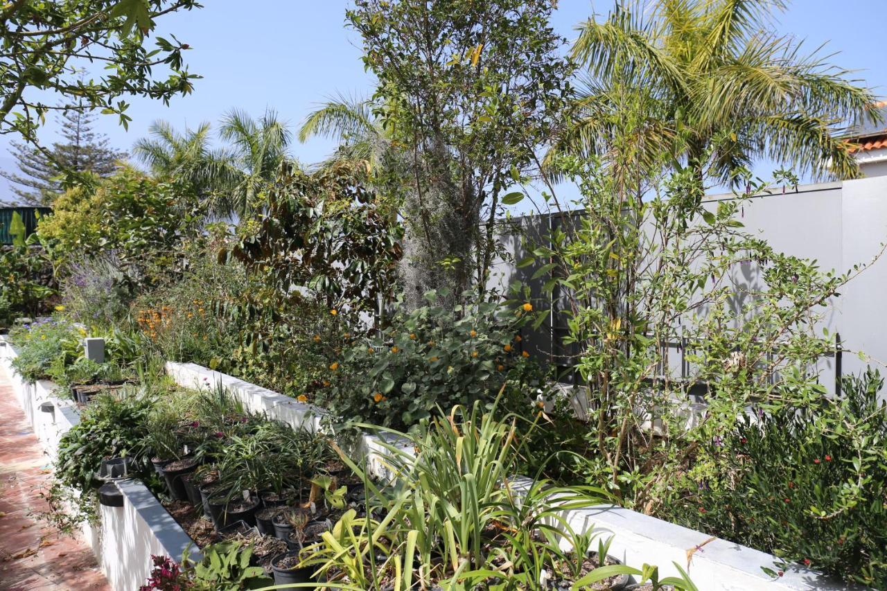 Jungle Paradise La Orotava Bagian luar foto